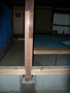 DSCN3879